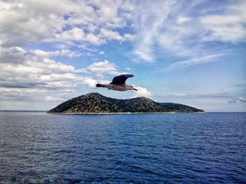 View of birds on sea against sky