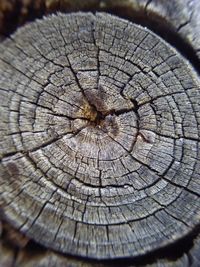 Full frame shot of tree stump