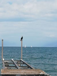 Seagull on wooden post in sea against sky