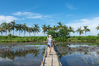 Rear view of woman standing on pier by pond