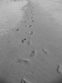 High angle view of footprints on beach