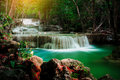 Scenic view of waterfall in forest