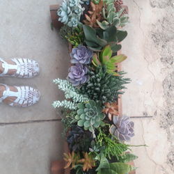 Close-up of potted plant on wall