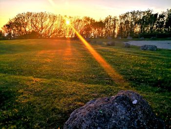 Scenic view of field against sky during sunset