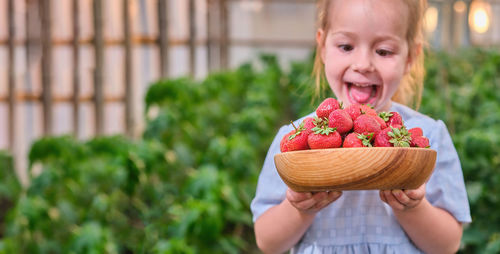 Portrait of cute girl holding strawberries