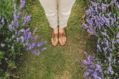 Low section of woman standing in lavender field