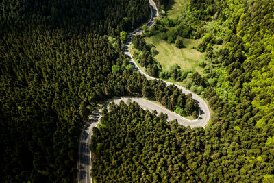 Winding road from high mountain pass, in summer time. aerial view by drone . romania