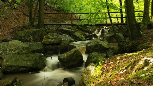 Footbridge over waterfall in forest at ardennes