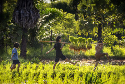  children walking on field against trees