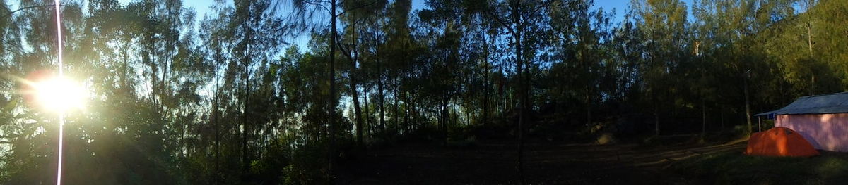 Panoramic view of trees on field against sky