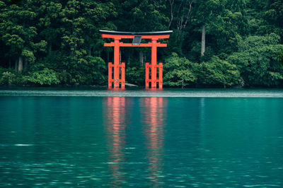 Built structure of japanese  torii gate in lake against trees in forest of hakone shrine.