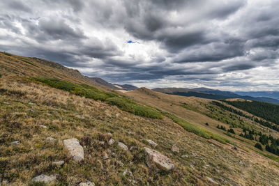 Landscape in the mount evans wilderness