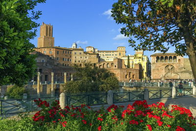 Trajan's forum, traiani by day in roma, italy