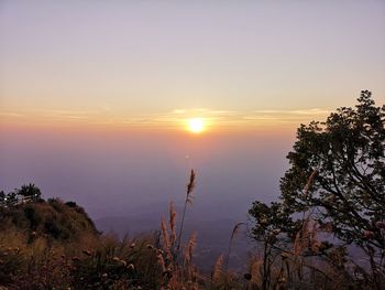 Scenic view of silhouette trees against sky during sunset