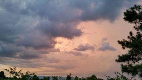 Low angle view of trees against cloudy sky