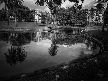 Reflection of trees in water