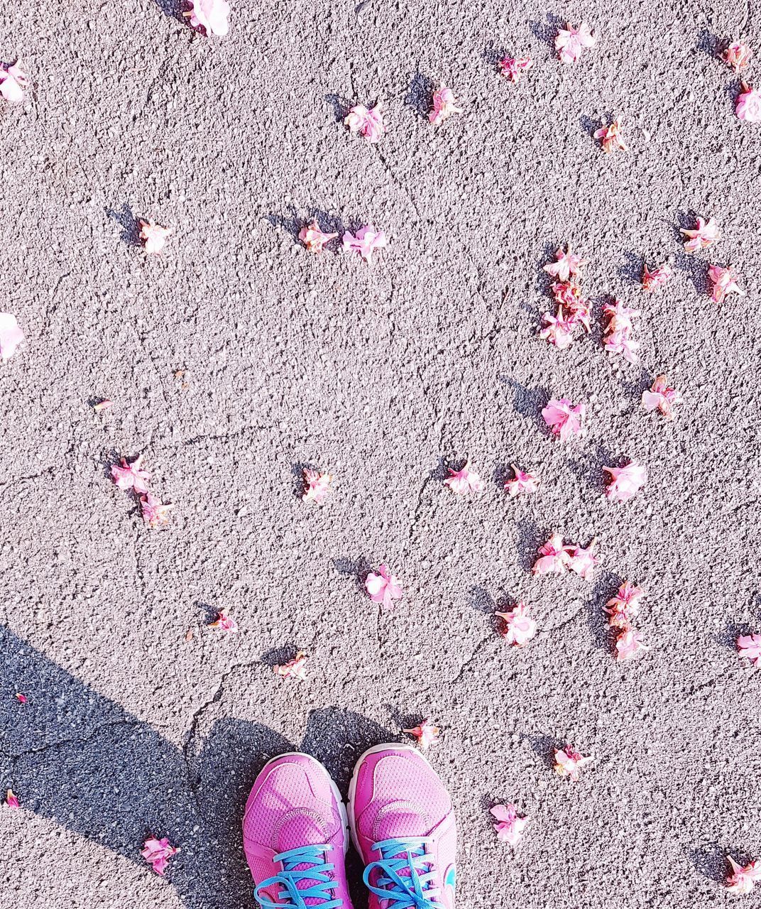 LOW SECTION OF PERSON STANDING ON STREET WITH PINK PETALS