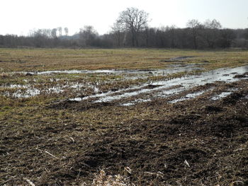 Scenic view of field against sky during winter
