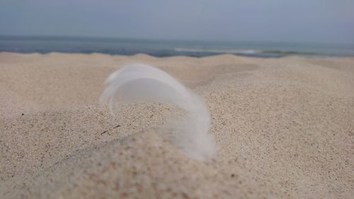 Surface level of sand on beach against sky