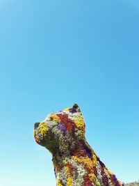 Low angle view of plant against clear blue sky