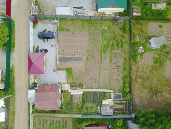 High angle view of trees and buildings in city