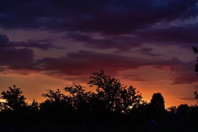 Silhouette trees against sky during sunset