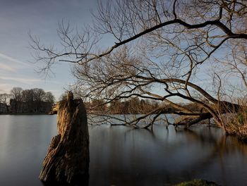 Bare tree by lake against sky