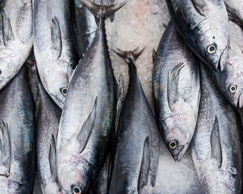 Full frame shot of fish for sale at market