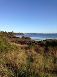 Scenic view of sea against clear sky