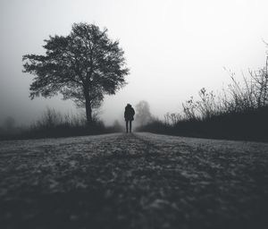 People walking on road