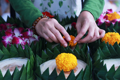 Close-up of hand holding bouquet of flowering plant