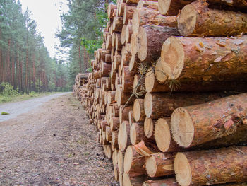 Stack of logs