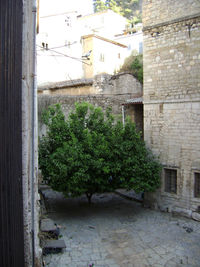 Built structure with trees in background