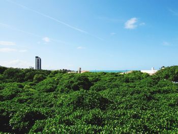 Trees on landscape against cloudy sky