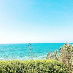 Scenic view of sea against clear sky