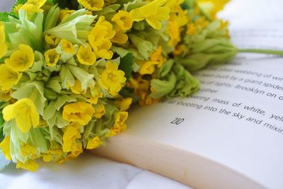 Close-up of yellow flowers on book