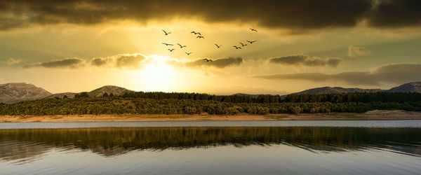 Birds flying over lake against sky during sunset