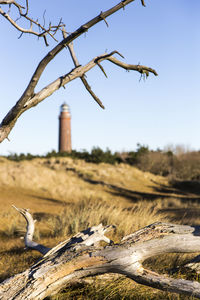 View of birds on land against sky