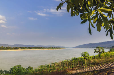 Beautiful view of mekong river at sangkhom district, nong khai, thailand