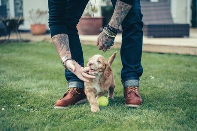 Low section of man playing with dog