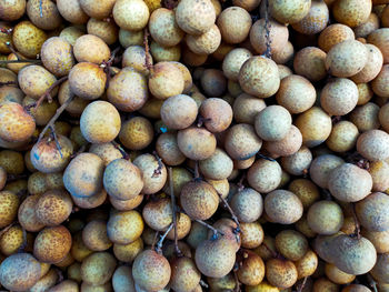 large group of objects