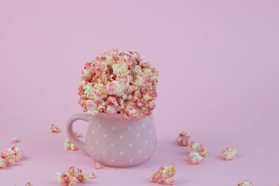 Close-up of pink roses against white background