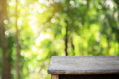 Close-up of bench in park