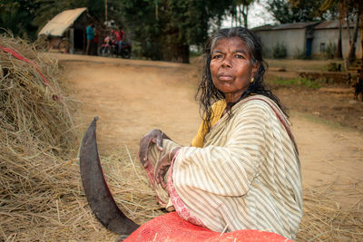 A poor older woman from the indian tribal community is cutting hay with a saw