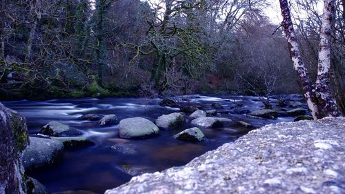 River flowing through rocks in forest