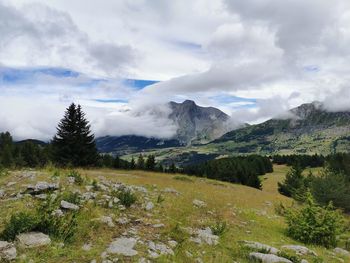 Scenic view of landscape against sky