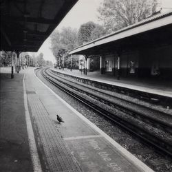 Railroad station platform against sky
