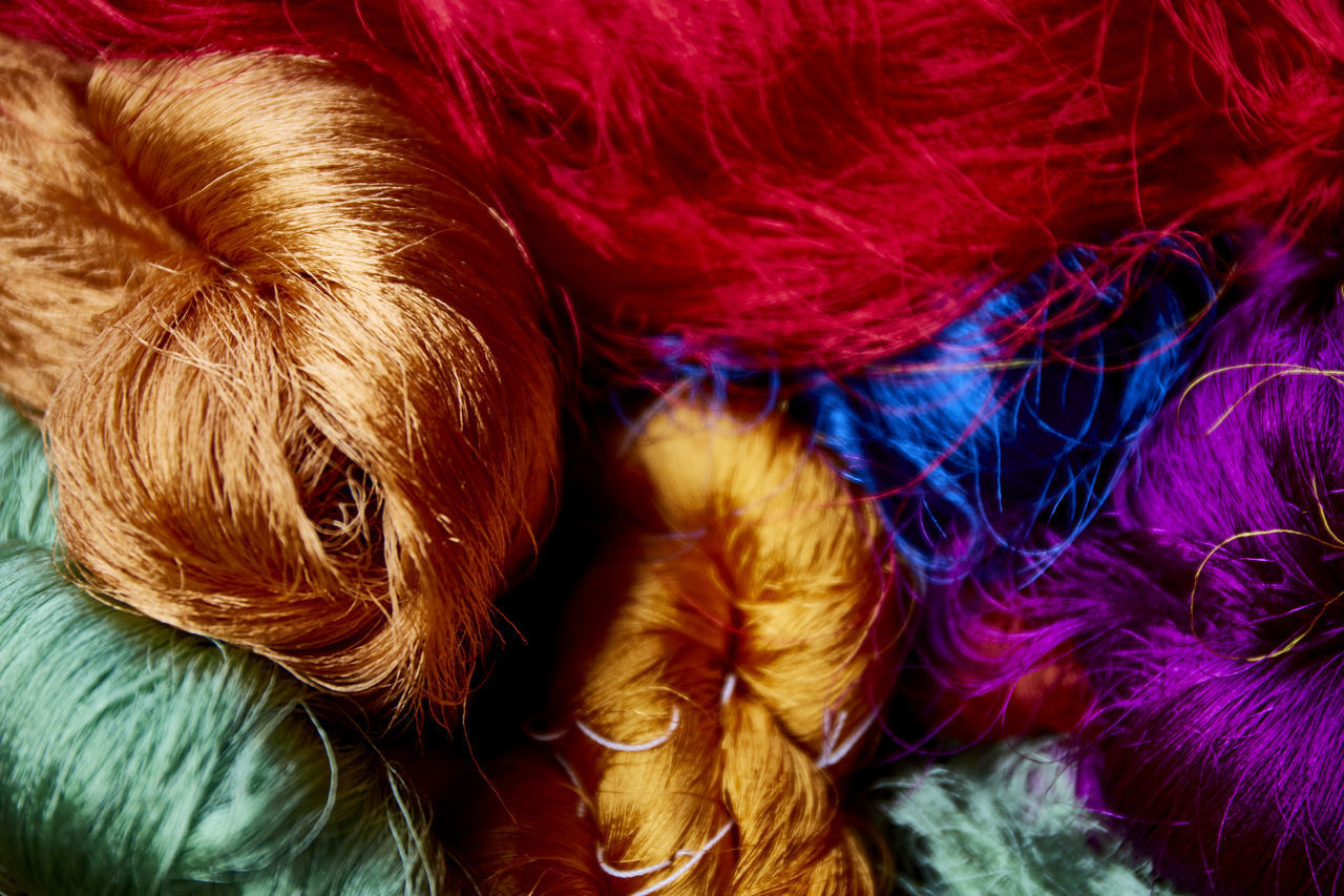 HIGH ANGLE VIEW OF A DOG WITH PURPLE