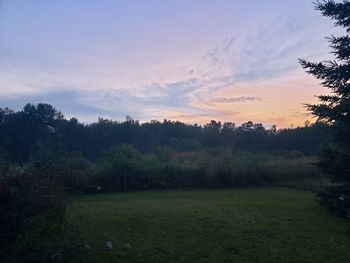 Scenic view of field against sky during sunset