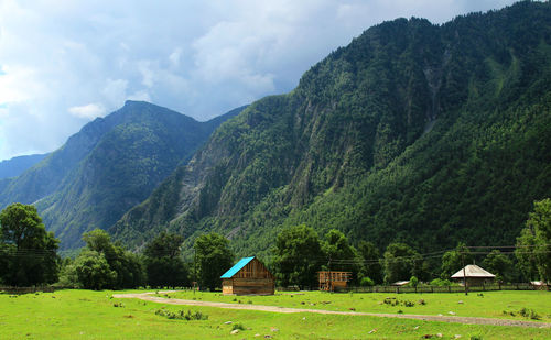 Wooden houses on a green meadow against the backdrop of the slopes of huge mountains in altai